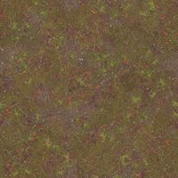 Asset preview